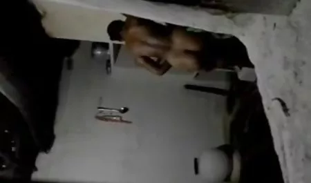 ويسكونسن كس وردي عربي كاميرات المتشددين الاباحية نجمة