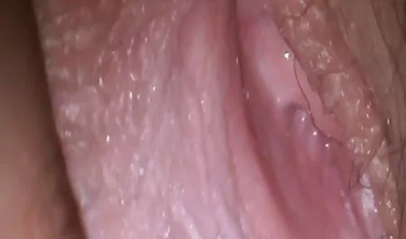 صوفي كس بنات عربيات تيرنر-خوسيه