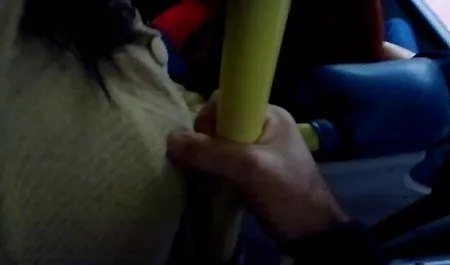 القط بلدي كس عربي جديد العربي الاخوة كتابة هذا الحساب